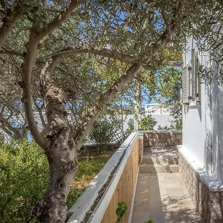 Happy Babi * 阿达玛斯