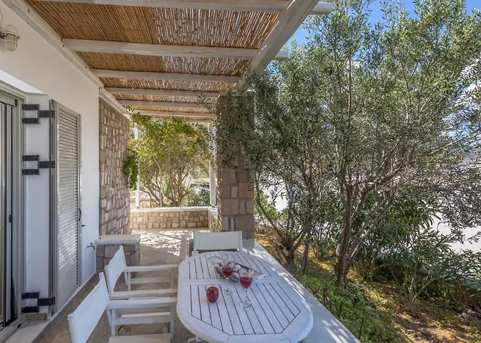 Happy Babi Nyaraló *